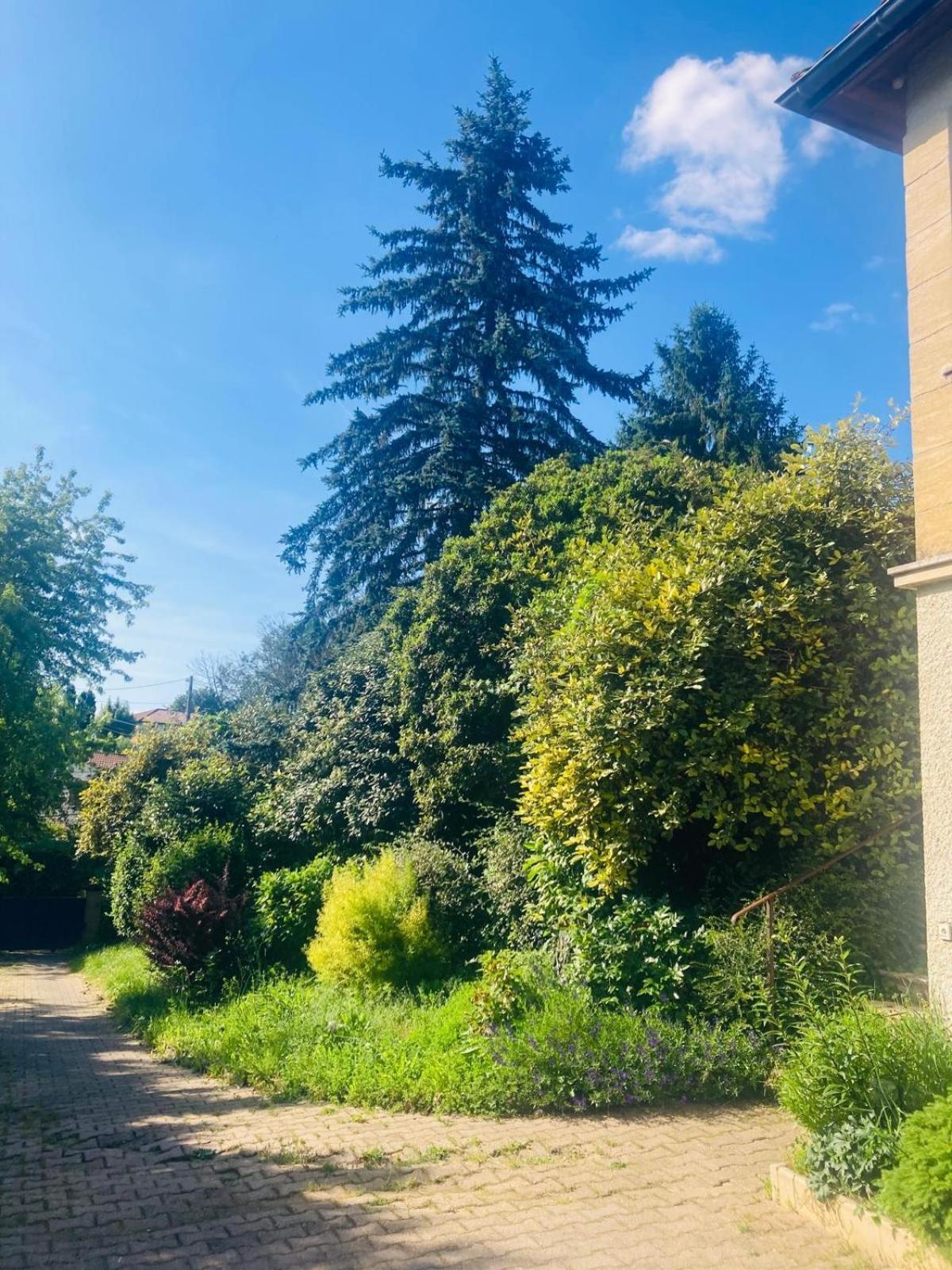 Appartement La Petite Noix à Sarlat Extérieur photo